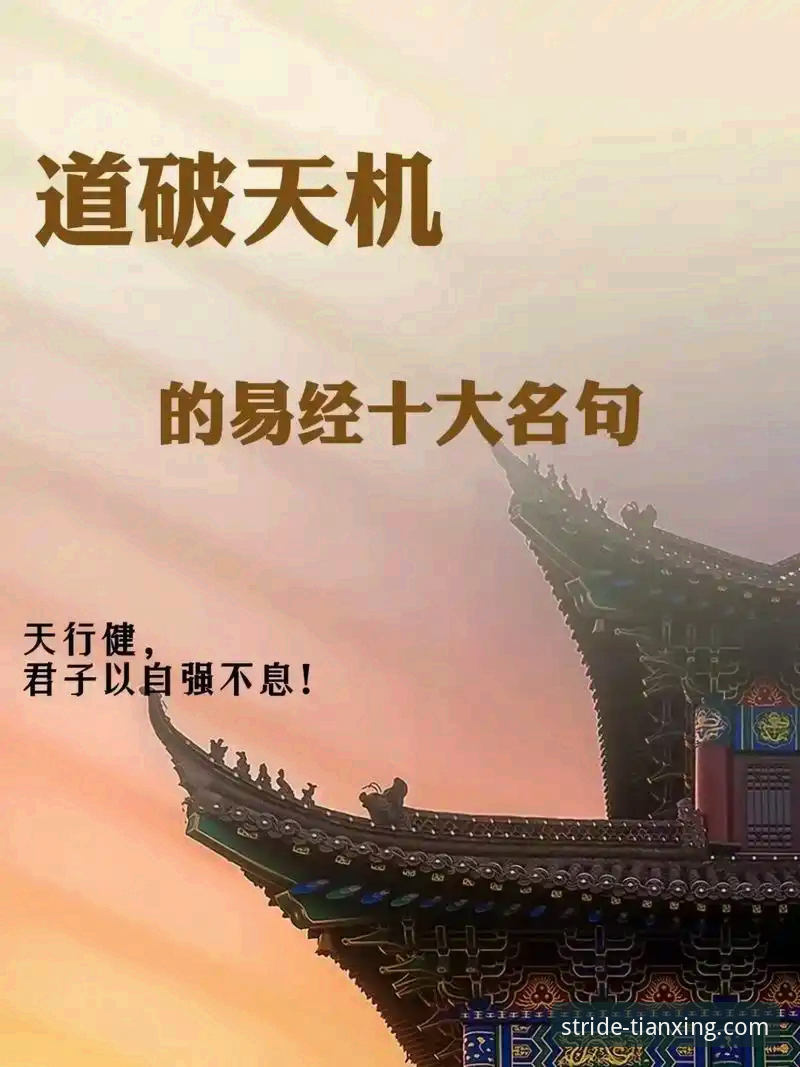 天行体育平台最新版全面解析：从下载到实战的深度指南