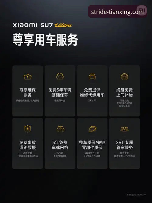 天行体育VIP选择指南：实战派详解哪个版本更适合你